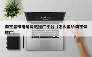 惠东淘宝怎样搭建网站推广平台（怎么能给淘宝做推广）